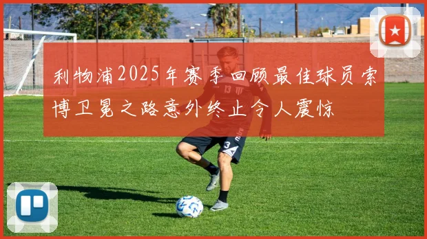 利物浦2025年赛季回顾最佳球员索博卫冕之路意外终止令人震惊