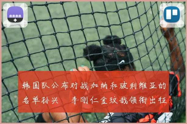 韩国队公布对战加纳和玻利维亚的名单孙兴慜李刚仁金玟哉领衔出征