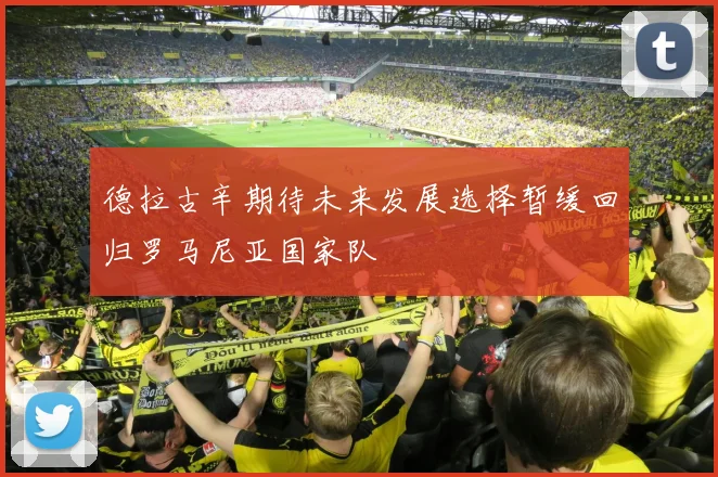德拉古辛期待未来发展选择暂缓回归罗马尼亚国家队