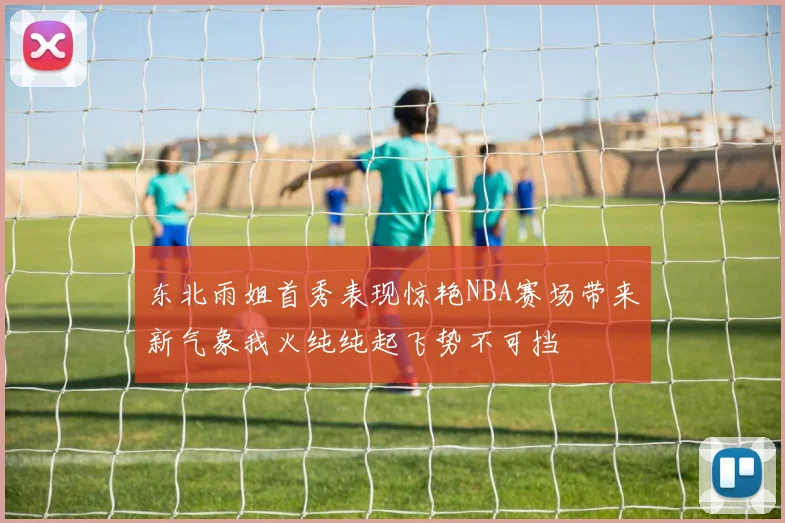 东北雨姐首秀表现惊艳NBA赛场带来新气象我火纯纯起飞势不可挡