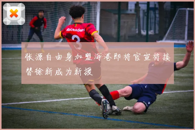 张源自由身加盟海港即将官宣将接替徐新成为新援