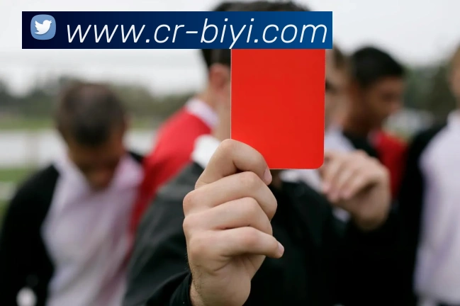 必一运动平台生态图